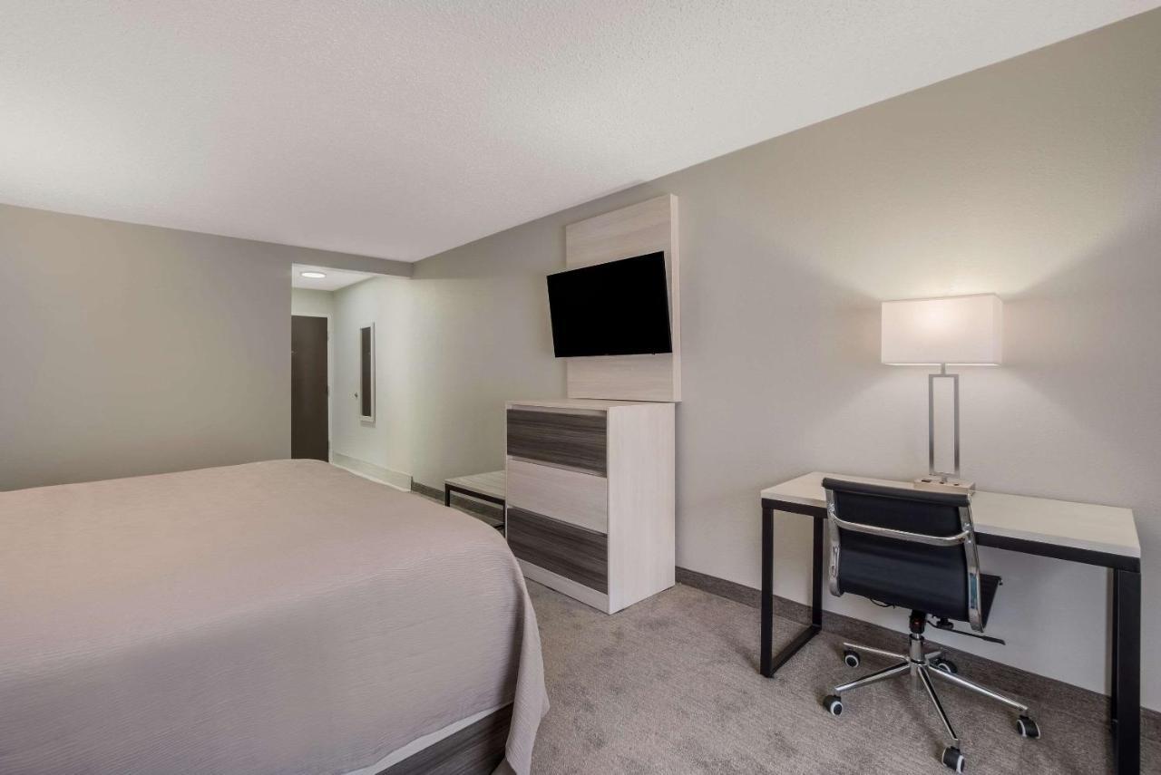 Quality & Hotel
